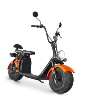 Scooter Trottinette Electrique Homologuée 1500W CITYCOCO